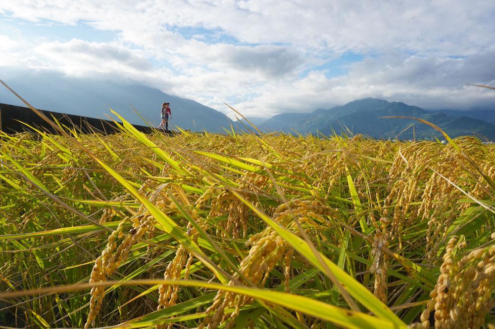 Snail Trail B&B Taitung Екстериор снимка